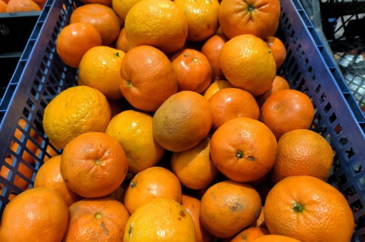 Rusiyada bu meyvə kəskin ucuzlaşacaq - Azərbaycanda necə?