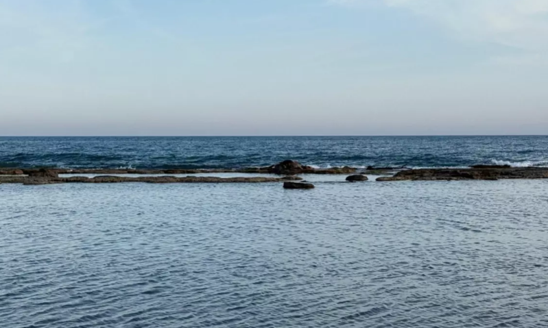 Dənizin ortasında inək leşi tapıldı – Görənlər şoka düşdü