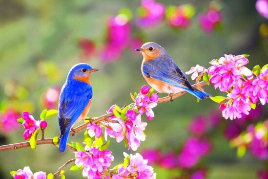 Həftənin ilk günü hava necə olacaq? - PROQNOZ