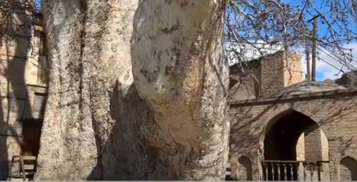 Burada hər məhəllənin öz meydanı, öz məscidi var - VIDEO