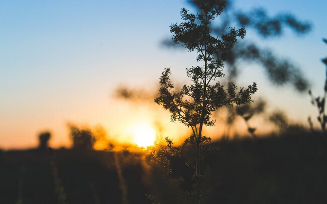 Noyabrın ilk gününün hava proqnozu