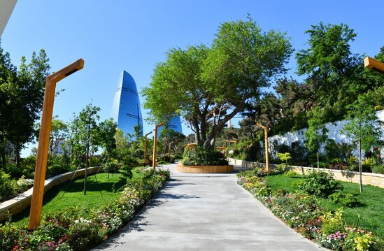 Prezident Bakıda yeni salınmış parkda - FOTOLAR