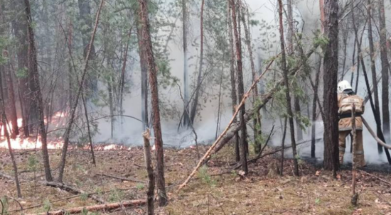 Qazaxıstanda meşə yanğınında ölənlərin sayı 15-ə çatdı