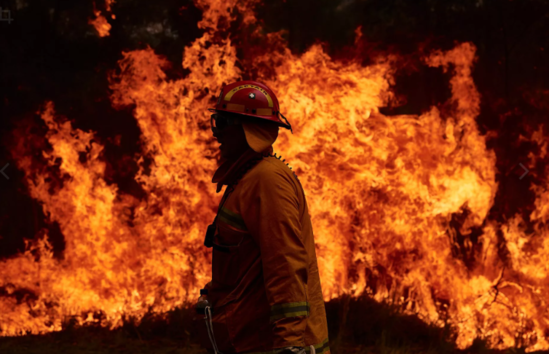 Zavodda yanğın olub