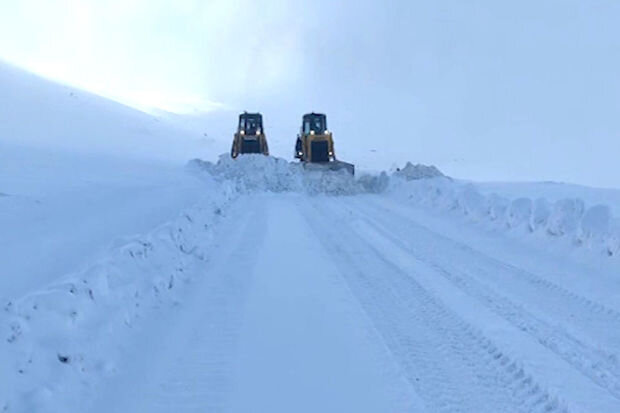 MN: "Orduda donvurma halı aşkar edilməyib, 800 km-dən çox yol qardan təmizlənib" - VİDEO