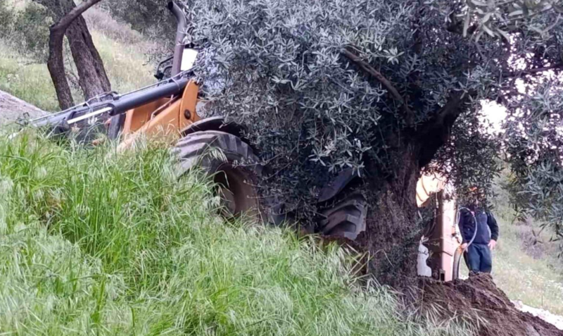 Öz qazdığı nəhəng çuxurda can verdi - VİDEO