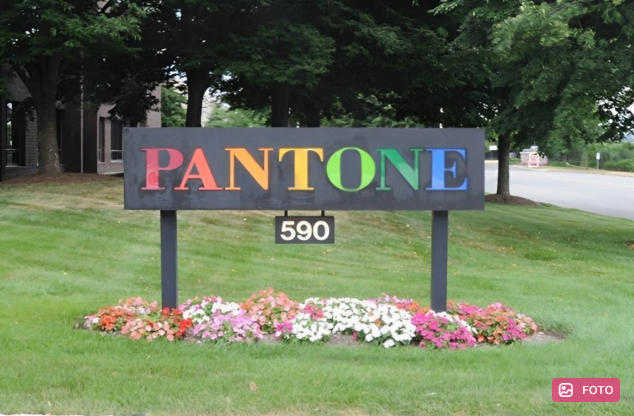 2025-ci ilin əsas rəngi açıqlandı