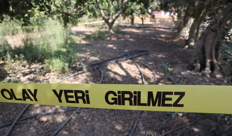 Pul üçün dostunu öldürdü - VİDEO