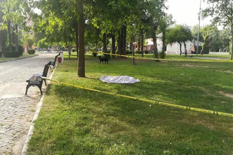 Bakıda parkda naməlum kişi meyiti TAPILDI