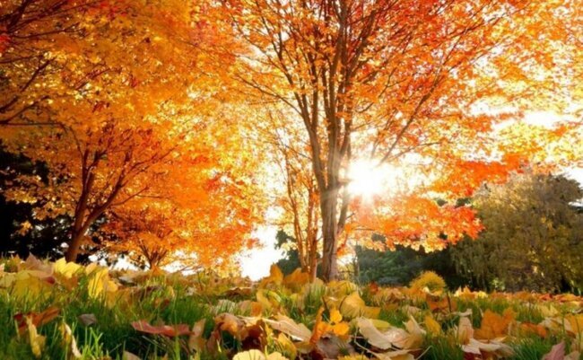 Payız Azərbaycana bu tarixdə daxil olacaq​