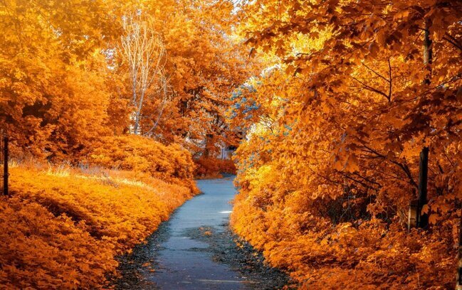 Azərbaycana payız gəlir