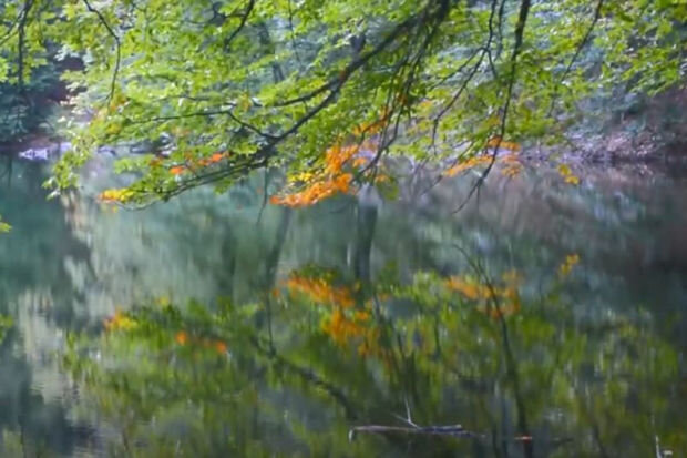 Qaranohur gölünün payızı - VİDEO