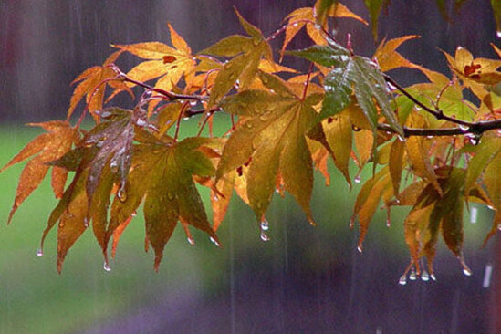 Sabahın hava proqnozu