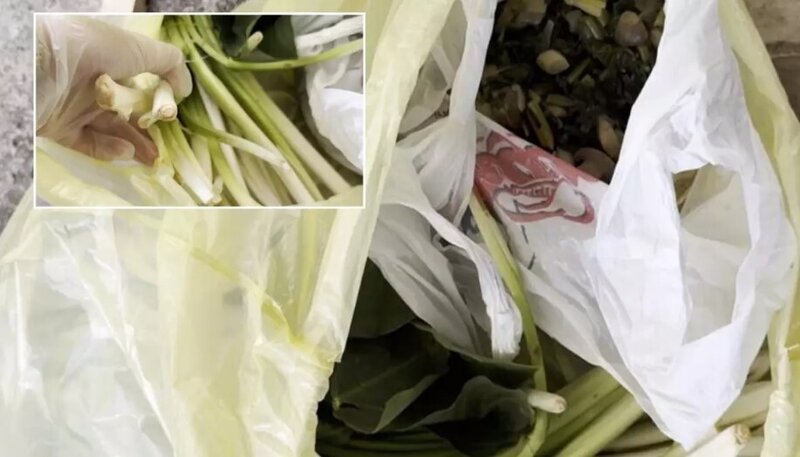 Bazardan aldığı ot zəhərli çıxdı: Həkim xəstəxanalıq oldu - VİDEO