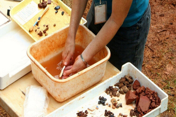 "Pendir oğrusu" ölkədən qovuldu