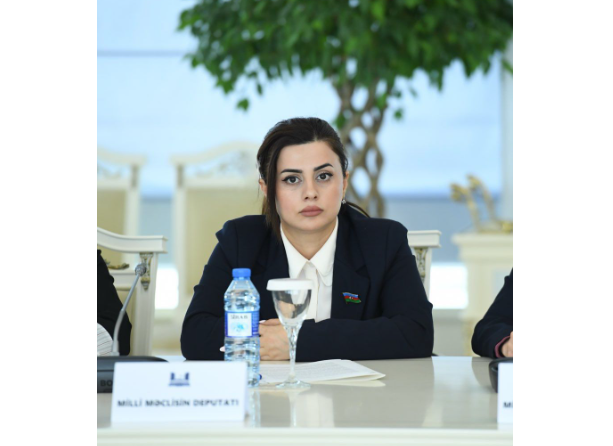 "Azərbaycan regionda sülhün, əməkdaşlığın və inkişafın təminatçısı rolunu oynamağa hazırdır" - DEPUTAT