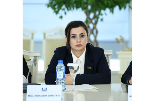 "Azərbaycan Silahlı Qüvvələri bu gün regionun ən güclü və modern ordu sistemlərindən birinə malikdir" - DEPUTAT