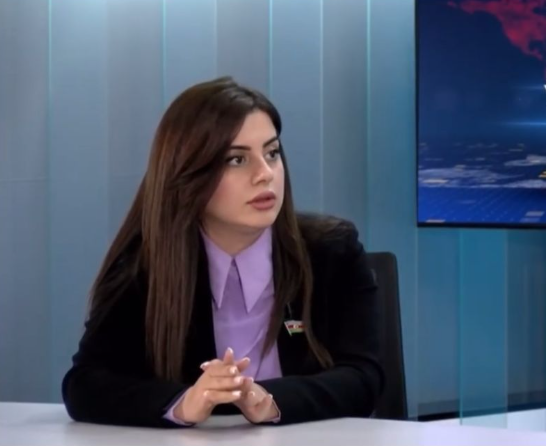 "Bakı Təşəbbüs Qrupunun fəaliyyəti Fransa rəsmilərini təşvişə salıb" - DEPUTAT