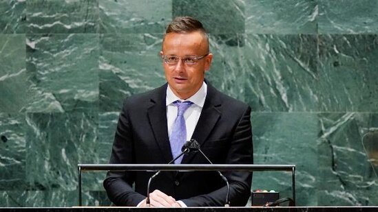 Macarıstan "Quran"ın yandırılmasını pisləyib