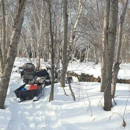 Təyyarə qəzaya uğrayıb: Ölənlər var - FOTO/VİDEO