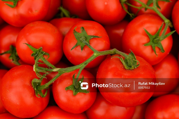 Satıcılar pomidorun qiymətindən gileyləndilər