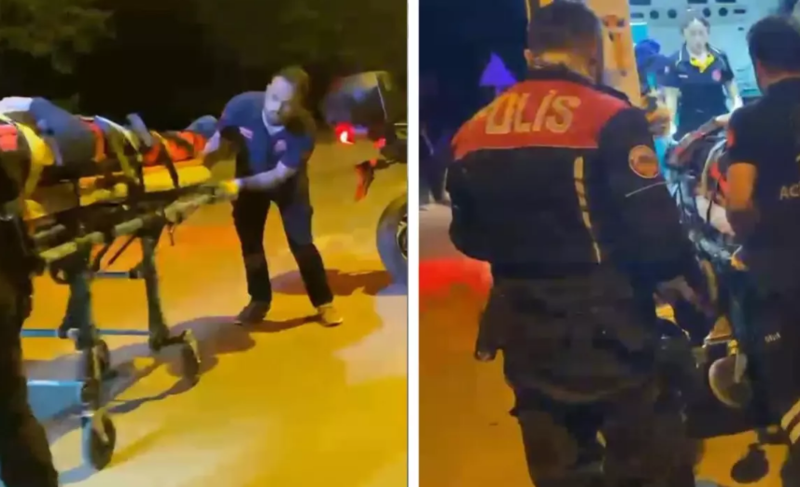 Dava çağırışına gedən polis qrupuna it hücumu: 2 polis yaralandı