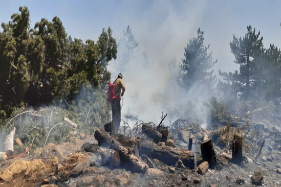 İndoneziyada zəlzələdə ölənlərin sayı artıb