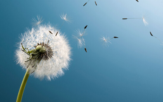 Sabah havanın temperaturu 41 dərəcəyədək yüksələcək