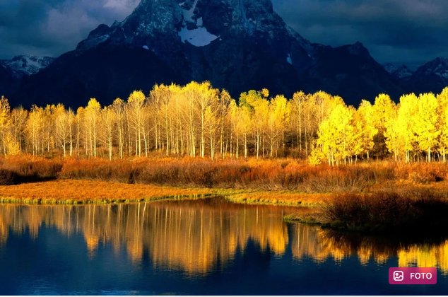 Dünyanın ən yaşlı CANLI ORQANİZMİ aşkar edilib