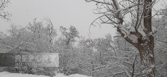 Şuşaya qar yağır, yollar təmizlənir - FOTO