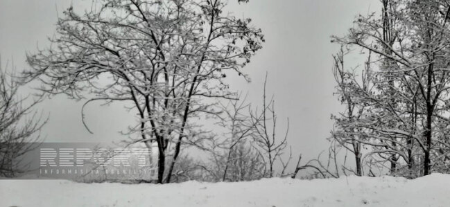 Şuşaya qar yağır, yollar təmizlənir - FOTO