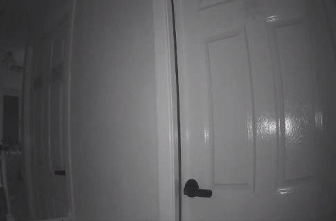 Ana evə kamera quraşdırdı: Gördükləri onu şoka saldı - VİDEO