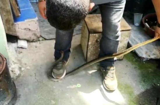 Qapını açıb otağa daxil oldu - Gördüklərindən DƏHŞƏTƏ GƏLDİ - FOTOLAR