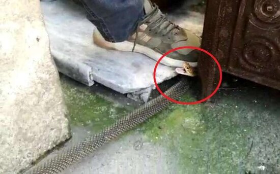 Qapını açıb otağa daxil oldu - Gördüklərindən DƏHŞƏTƏ GƏLDİ - FOTOLAR