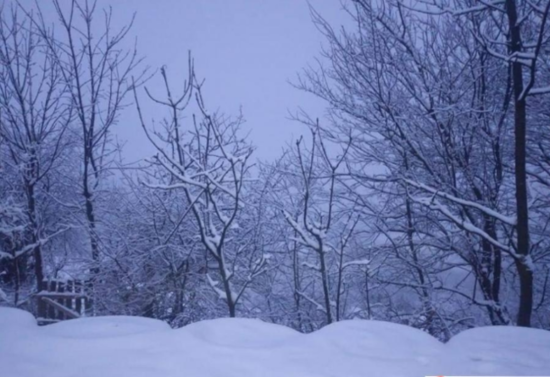 Bu rayonlara qar yağır - Faktiki hava