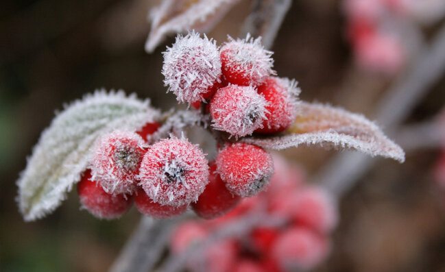 Bakıya yenə qar yağacaq - 1-3° şaxta