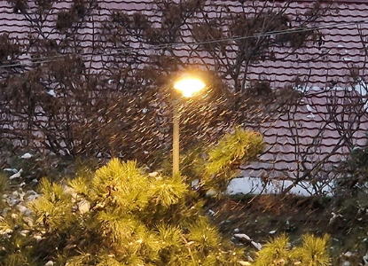 Bakıya yenə güclü qar yağır - VİDEO