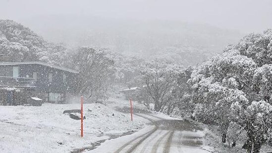 Polis və yanğınsöndürənlərin bu VİDEOsu böyük maraq doğurdu