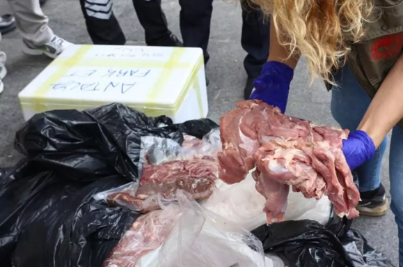 Avtobusda qanunsuz yolla görün nə daşıdılar - VİDEO