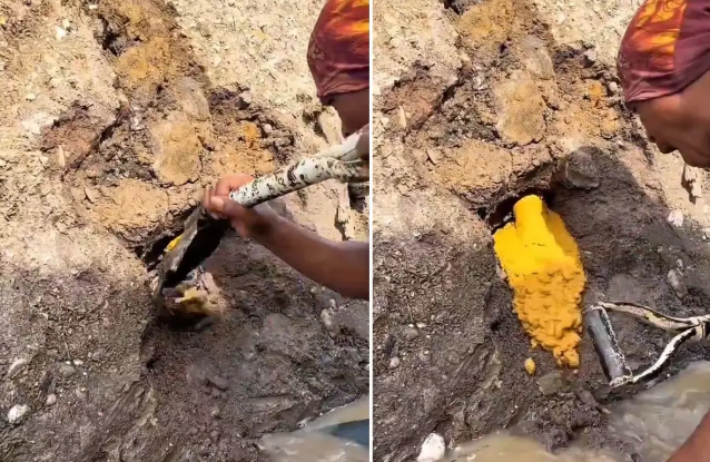 Şansın beləsi: Beli ilişdirdiyi yerdən qızıl çıxdı - VİDEO