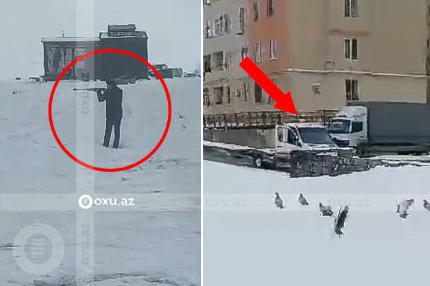 Qobuda itlər uşaqların gözü qarşısında güllələnir - İDDİA + VİDEO