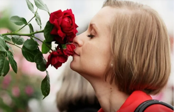 Qoxubilmə hissinin itməsi ölüm XƏBƏRÇİSİDİR