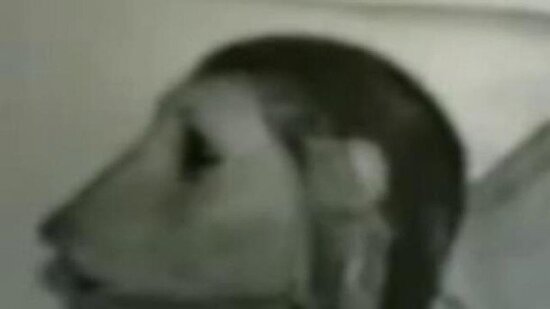 Quranı cıraraq "məxluğa çevrilən qız"ın hekayəsi - FOTOLAR