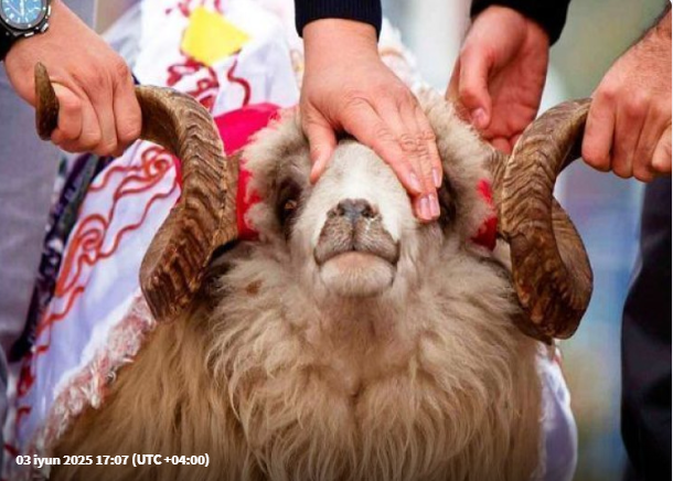 "Şəkəri və təzyiqi olanlara qurban payı əvəzinə pul verin" - İlahiyyatçı