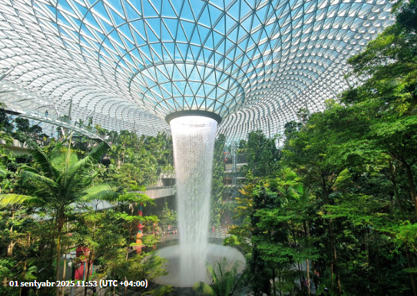 Qadın bir həftə hava limanında yaşadı - Ucuz və komfortlu