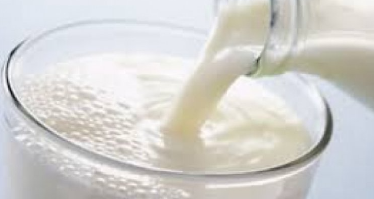 Milçəkdən süd hazırlanır - VİDEO