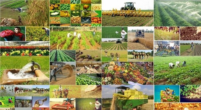 "Bölgələrimizdəki vəziyyət əvvəlki illərlə müqayisədə tamamilə dəyişib" - DEPUTAT