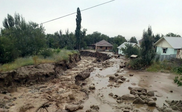 Bölgələrdə KRİTİK VƏZİYYƏT: Evləri su basıb, heyvanlar tələf olub, insanlar təxliyə ediliblər