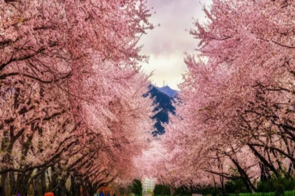 Xarici ölkədə həyatınızı xilas edəcək sözlər