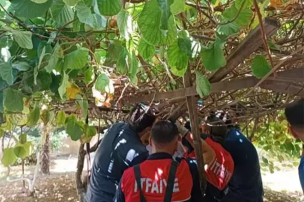 Beşinci mərtəbədən yıxılan uşağın burnu belə qanamadı